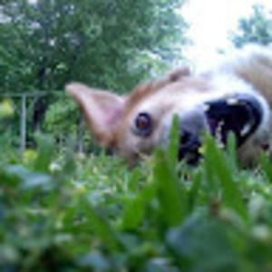 Meet your Posher, Melony